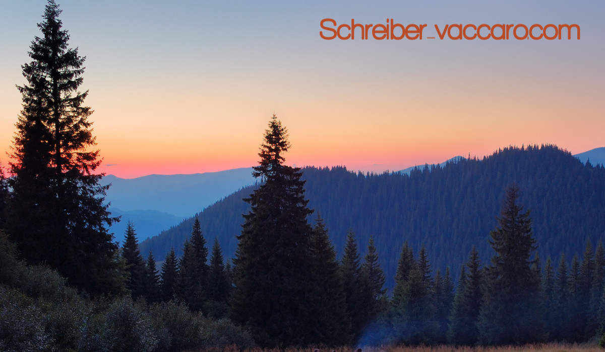 schreiber-vaccaro.ortrax.click